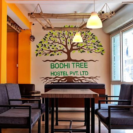 Bodhi Tree Hostel 加德满都 外观 照片