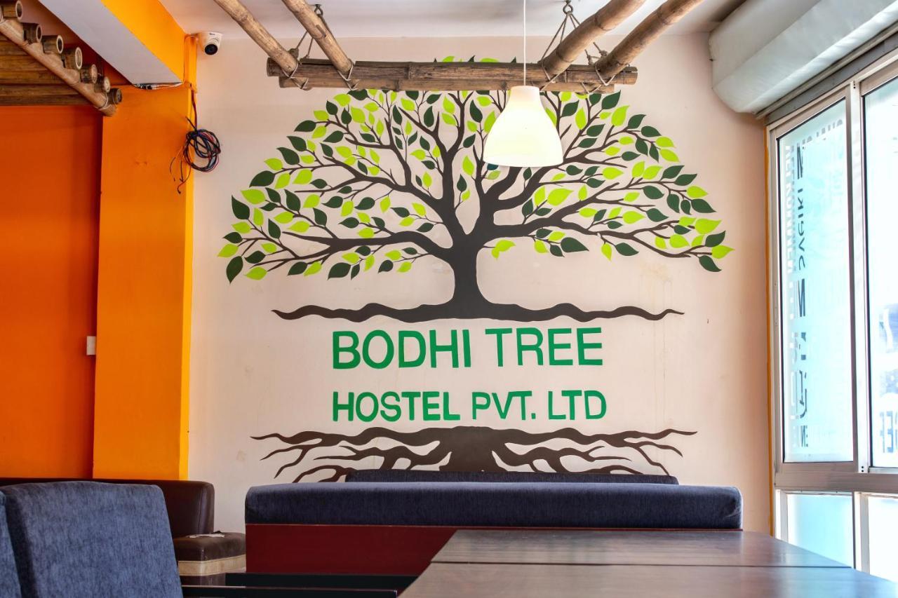 Bodhi Tree Hostel 加德满都 外观 照片