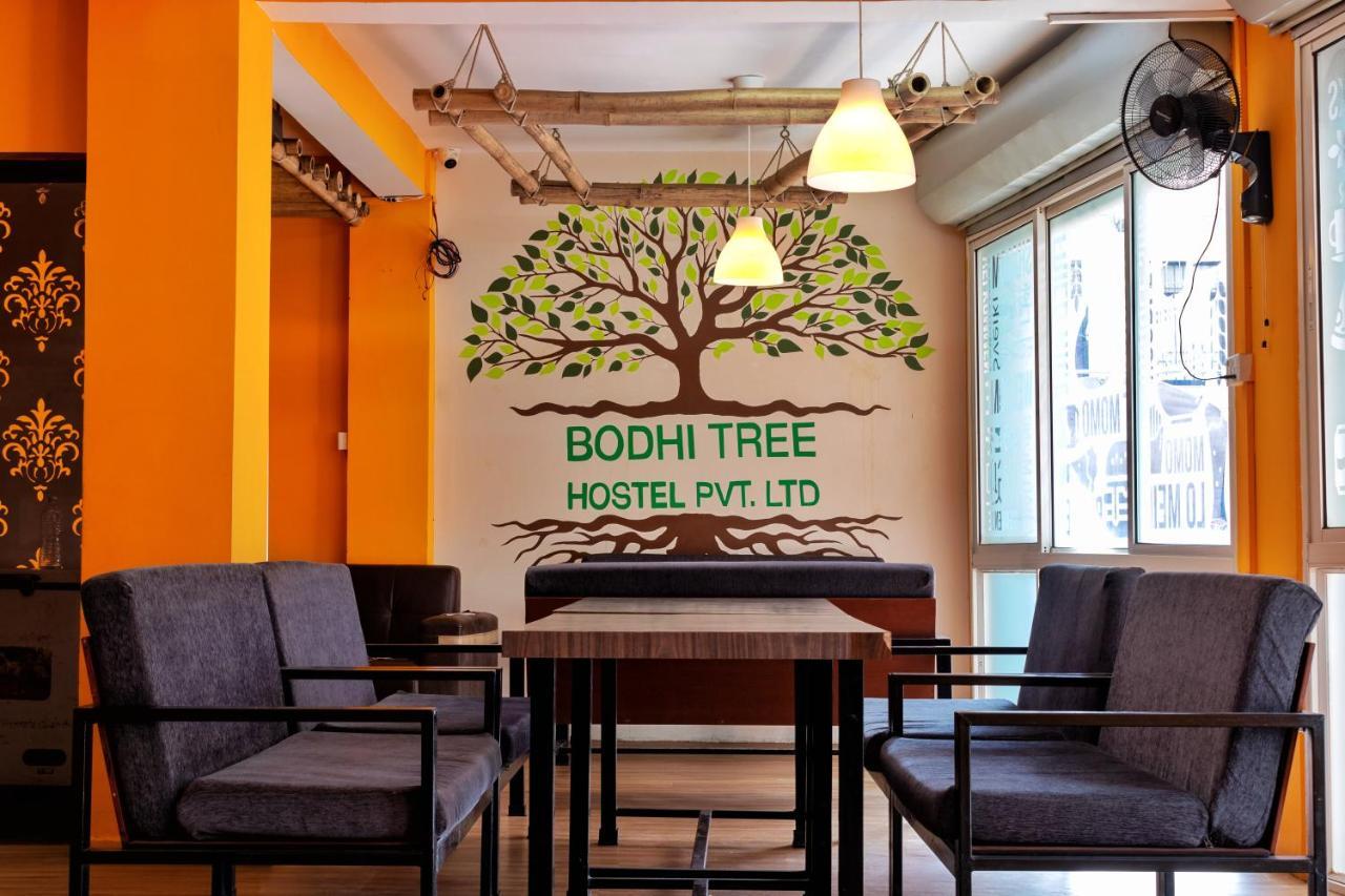 Bodhi Tree Hostel 加德满都 外观 照片